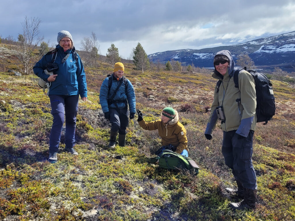 Blant storlom og mogop på Dovrefjell