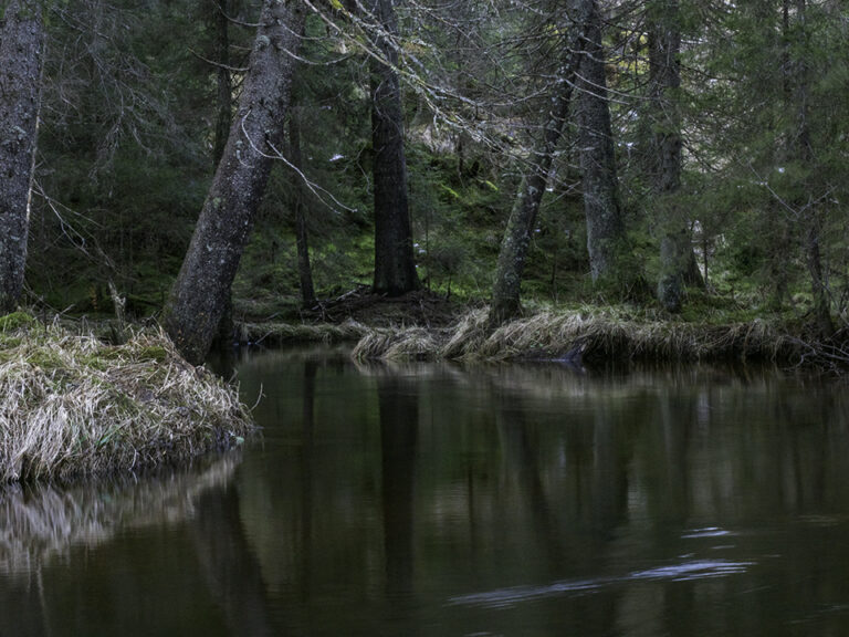 Mobekken. Foto Morten Vagleng