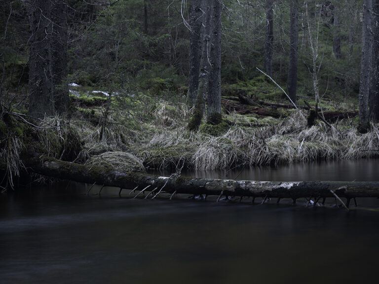 Mobekken. Foto Morten Vagleng